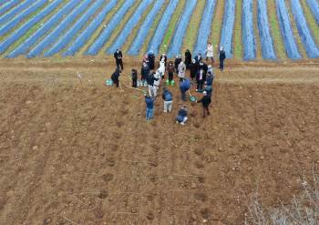 Bilecikli Çiftinin Yeni Geçim Kaynağı Ahududu Ve Böğürtlen Olacak
