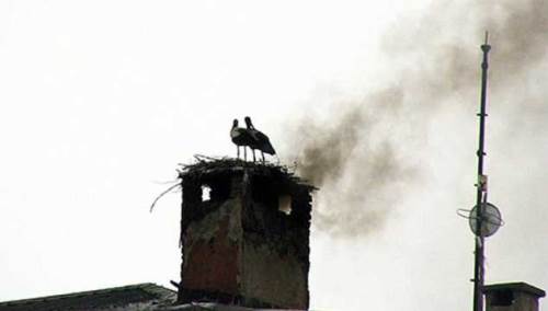 Bileciklilere önemli uyarı: Kış öncesi bu temizliğe dikkat!