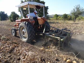 Bilinçli Yapılan Tarım Kazandırıyor

