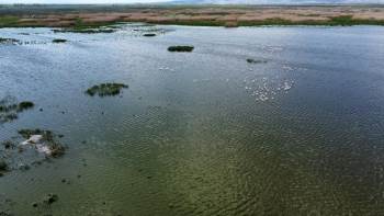Bir Çok Yerinde Kuruma Başlayan Eber Gölü İle İlgili Sevindiren Gelişme

