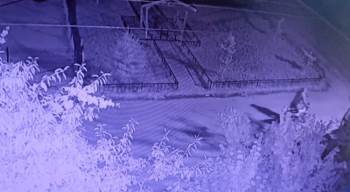 Bir Gecede 8 Motosiklet Birden Çaldılar
