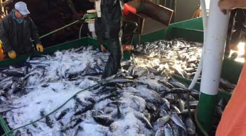 Bir gecede müthiş rekor