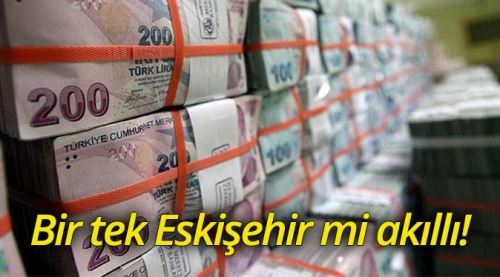 Bir tek biz mi akıllıyız!