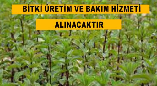  Bitki üretim ve bakım hizmeti alınacaktır