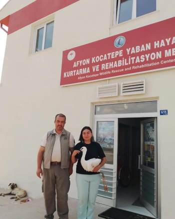 Bitkin Halde Bulunan Leylek Yavrusu Tedavi Altına Alındı
