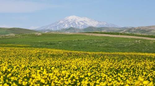 Bitlis Nasıl Bir Şehir? Bitlis Pahalı Mıdır? Bitlis'in Meşhur Yerleri ve En Güzel İlçeleri Nelerdir?