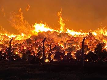 Biyoenerji Elektrik Santralinde Çıkan Yangın Devam Ediyor
