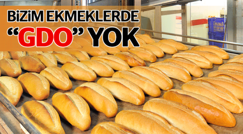 Bizim ekmekte "GDO" yok!