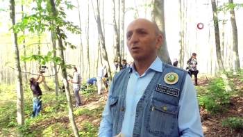 Bölge Müdürü Keskin: "Orman Yangınlarıyla İlgili Tüm Tedbirleri Almış Durumdayız"
