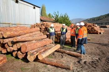Bölge Müdürü Keskin, Orman Depolarında İncelemelerde Bulundu
