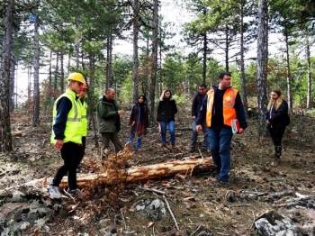 Bölge Müdürü Keskin, Üretim Sahaları Ve Depolarda İncelemelerde Bulundu
