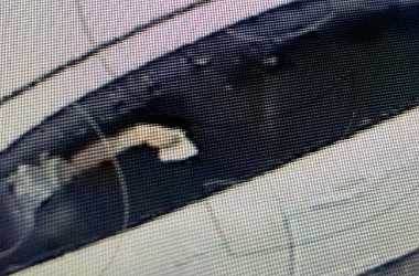 Bolu'da aracının camından çöp attı, cezayı yedi