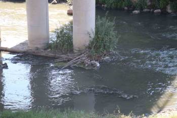 Bolu'da çevre faciası: 2 dev markaya ceza yağdı!