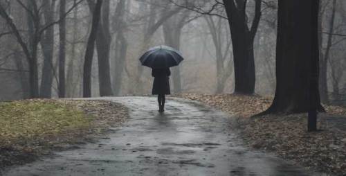 Bolu'da hava durumu nasıl olacak? (12 Ekim 2024)