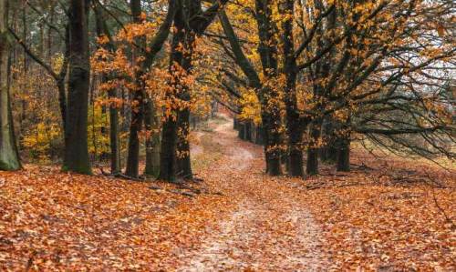 Bolu'da hava durumu nasıl olacak? (12 Kasım 2024)