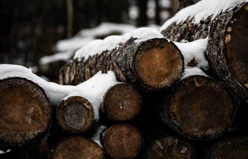 Bolu’da hava durumu nasıl olacak? (13 Aralık 2024)