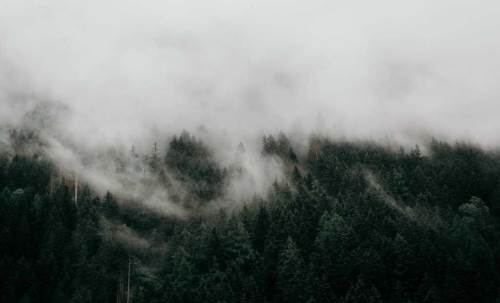 Bolu'da hava durumu nasıl olacak? (13 Kasım 2024)