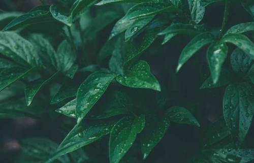 Bolu'da hava durumu nasıl olacak? (14 Ocak 2025)