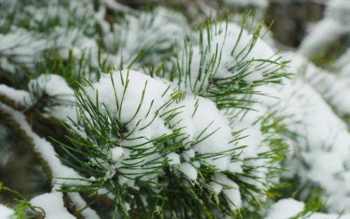 Bolu'da hava durumu nasıl olacak? (16 Aralık 2024)