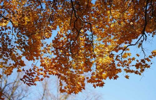 Bolu'da hava durumu nasıl olacak? (20 Kasım 2024)
