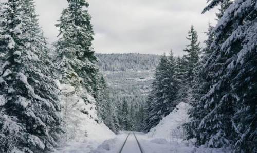 Bolu'da hava durumu nasıl olacak? (23 Kasım 2024)