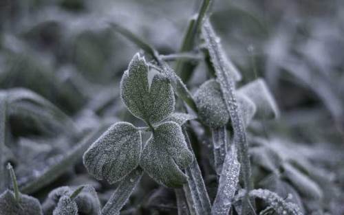 Bolu'da hava durumu nasıl olacak? (27 Kasım 2024)