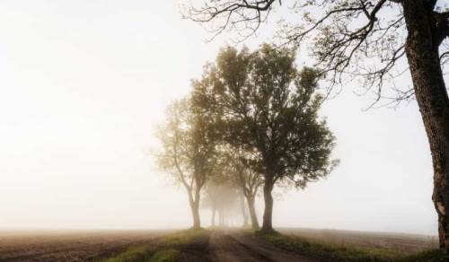 Bolu'da hava durumu nasıl olacak? (28 Ocak 2025)