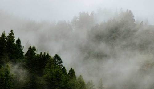 Bolu'da hava durumu nasıl olacak? (29 Ocak 2025)