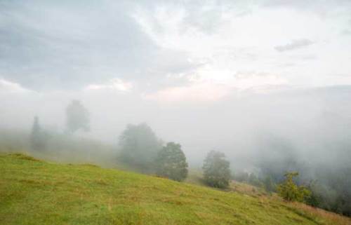 Bolu'da hava durumu nasıl olacak? (3 Aralık 2024)