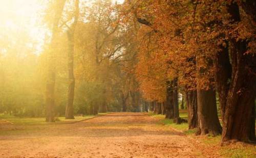 Bolu’da hava durumu nasıl olacak? (31 Aralık 2024)