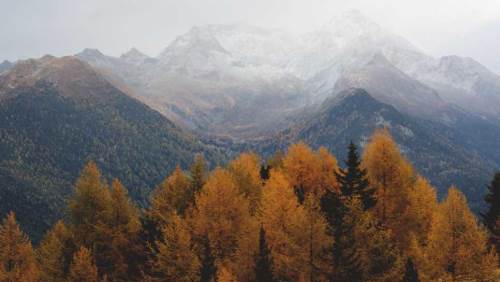 Bolu'da hava durumu nasıl olacak? (4 Kasım 2024)