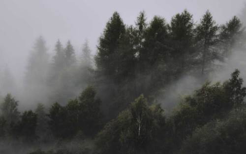 Bolu'da hava durumu nasıl olacak? (6 Kasım 2024)