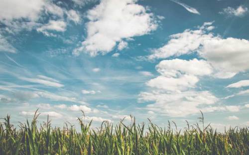 Bolu'da hava durumu nasıl olacak? (8 Kasım 2024)