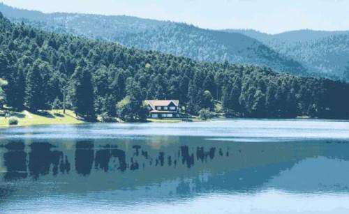 Bolu'da hava durumu nasıl olacak? (9 Ekim 2024)