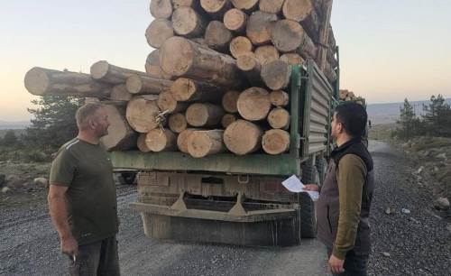 Bolu’da kaçak göknar kesimi davasında 4 sanığa ağır ceza