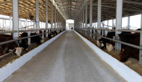 Bolu'da karantina: 2 köye giriş çıkış yasaklandı