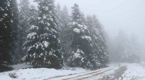 Bolu’da yüksek kesimlere kar yağdı