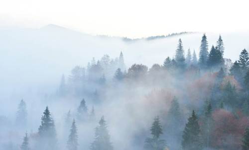 Bolu hava durumu - 1 Mart 2025