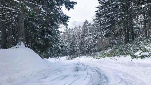 Bolu hava durumu - 10 Şubat 2025