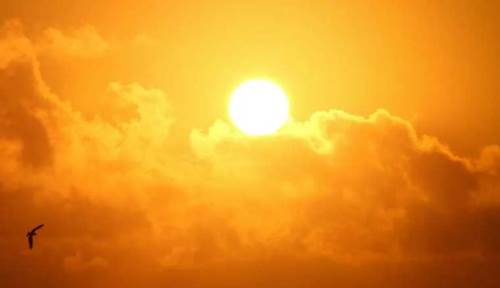 Bolu hava durumu - 10 Temmuz 2025