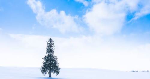 Bolu hava durumu - 11 Şubat 2025