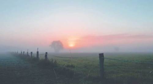 Bolu hava durumu - 17 Nisan 2025