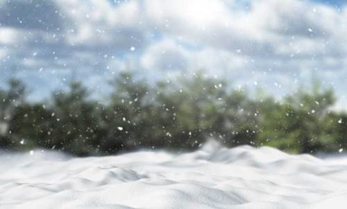 Bolu hava durumu - 17 Şubat 2025