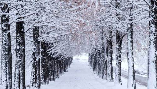 Bolu hava durumu - 18 Şubat 2025