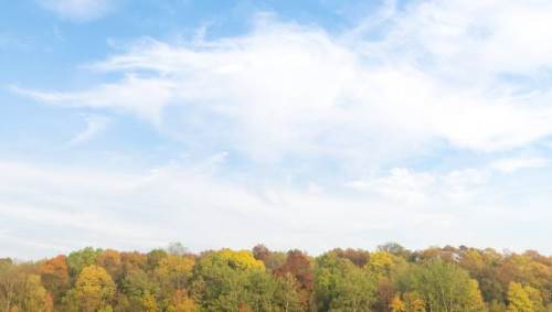 Bolu hava durumu - 22 Haziran 2025