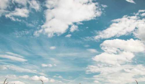 Bolu hava durumu - 25 Temmuz 2025