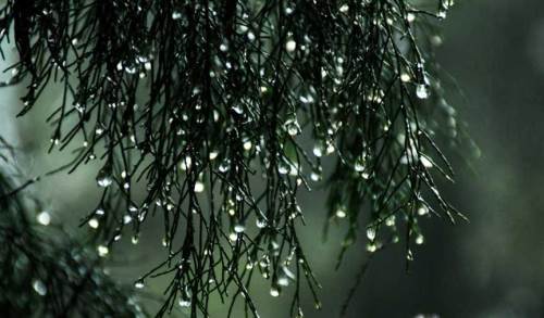 Bolu hava durumu - 27 Mayıs 2025