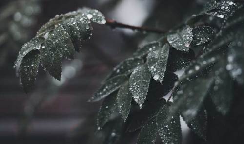 Bolu hava durumu - 3 Nisan 2025