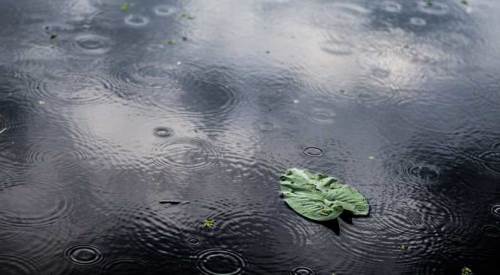 Bolu hava durumu - 3 Şubat 2025