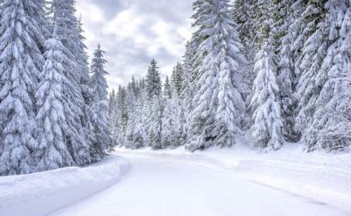 Bolu hava durumu - 7 Şubat 2025